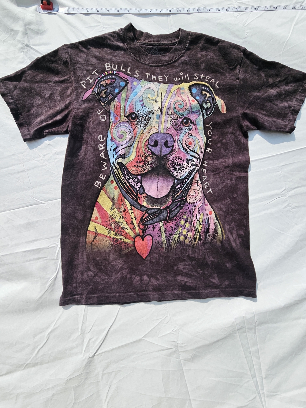 The Mountain Cotton Graphic Tee Multi Color Pitbull Like New